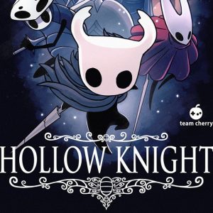 Hollow Knight US Nintendo Switch CD Key