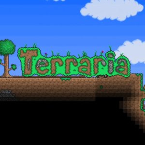 Terraria PC Steam Gift